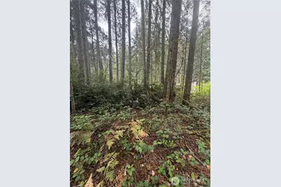 11928 Country Club Drive, Anderson Island, WA 98303 - Photo 7
