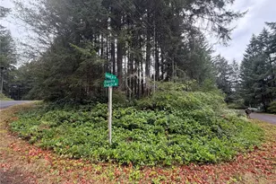11928 Country Club Dr, Anderson Island, WA 98303 - Photo 1