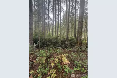 11928 Country Club Drive, Anderson Island, WA 98303 - Photo 5