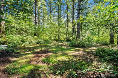 374 Baker Road, Ariel, WA 98603 - Photo 9