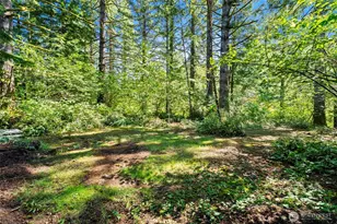 374 Baker Rd, Ariel, WA 98603 - Photo 9