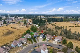 9819 Greenleaf Loop SE, Yelm, WA 98597 - Photo 23