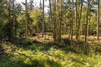 144 Took A Look Lane, Sequim, WA 98382 - Photo 13