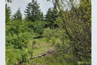 3300 F.S. Road, Ellensburg, WA 98926 - Photo 7