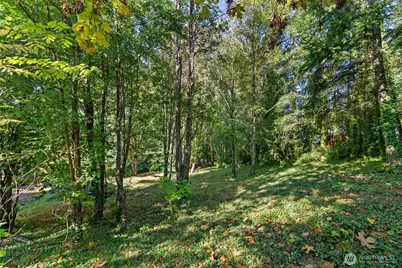 363 SE Canyon Drive, Chehalis, WA 98532 - Photo 29