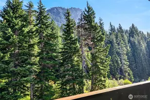 17700 Alpental Access Rd, Snoqualmie Pass, WA 98045 - Photo 19