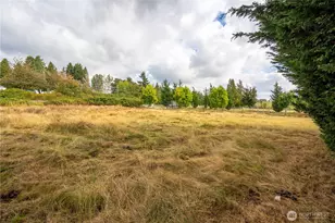 3387 Mountain View Rd, Ferndale, WA 98248 - Photo 19