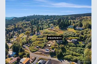 231 Lakeview Drive, Mossyrock, WA 98564 - Photo 7