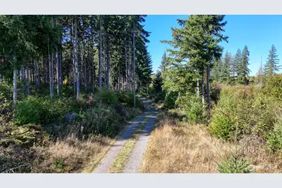 13409 Algyer Road SE, Rainier, WA 98576 - Photo 5