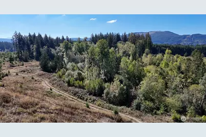 13409 Algyer Road SE, Rainier, WA 98576 - Photo 23
