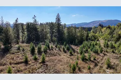 13409 Algyer Road SE, Rainier, WA 98576 - Photo 19
