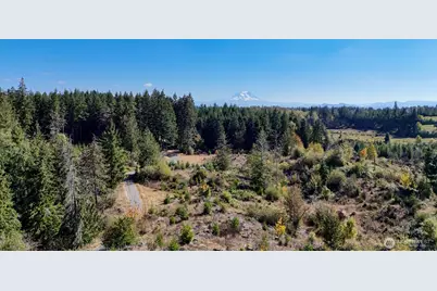 13409 Algyer Road SE, Rainier, WA 98576 - Photo 3