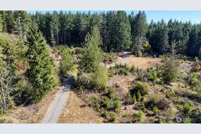 13409 Algyer Road SE, Rainier, WA 98576 - Photo 9
