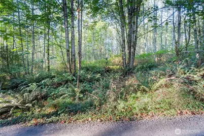 0 Lind Road, Port Townsend, WA 98368 - Photo 13