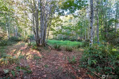 0 Lind Road, Port Townsend, WA 98368 - Photo 11