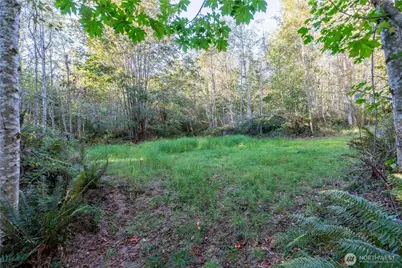 0 Lind Road, Port Townsend, WA 98368 - Photo 7