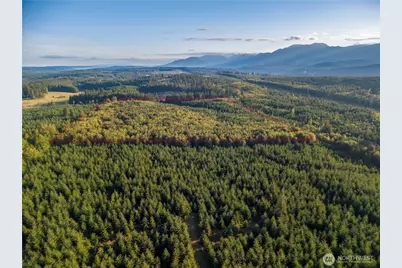 0 Lind Road, Port Townsend, WA 98368 - Photo 17