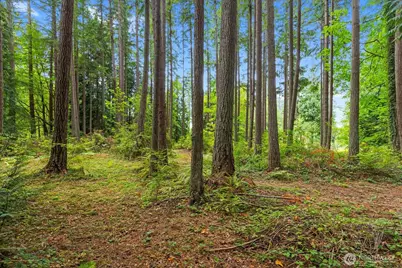 0 Tbd NE Union Hill Road, Redmond, WA 98053 - Photo 11