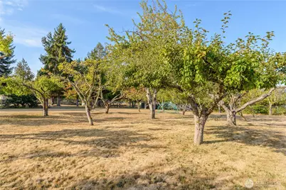 310 S Scott Drive, Sequim, WA 98382 - Photo 33
