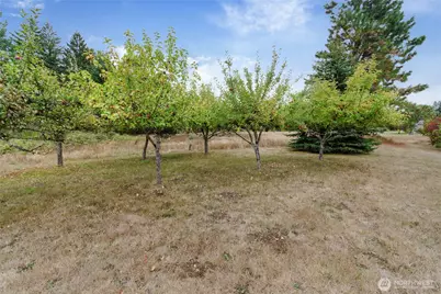 21317 23rd Ave E, Spanaway, WA 98387 - Photo 33