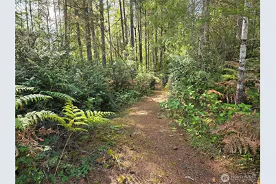 211 E Emerald Lake Dr, Grapeview, WA 98546 - Photo 13