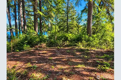 1961 E Trails End Drive, Belfair, WA 98528 - Photo 9