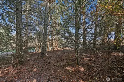 96 Montihill Lane, Sequim, WA 98382 - Photo 9