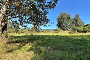 451 Green Mountain Rd, Mossyrock, WA 98564 - Photo 25