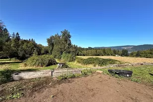 451 Green Mountain Rd, Mossyrock, WA 98564 - Photo 27