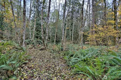 120 SE Sells Drive, Shelton, WA 98584 - Photo 13