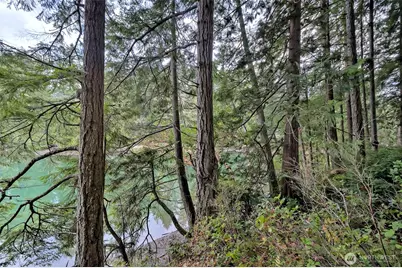 120 SE Sells Drive, Shelton, WA 98584 - Photo 5