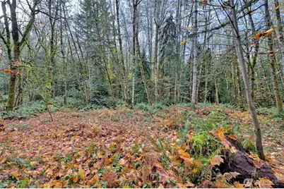 120 SE Sells Drive, Shelton, WA 98584 - Photo 17