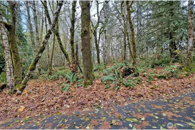 120 SE Sells Drive, Shelton, WA 98584 - Photo 21