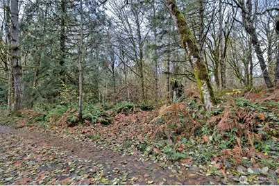 120 SE Sells Drive, Shelton, WA 98584 - Photo 19