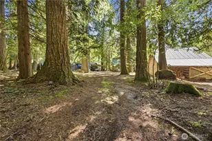 52309 SE 496th Pl, Enumclaw, WA 98022 - Photo 11