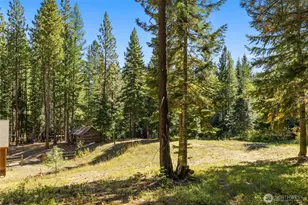 451 Wagon Wheel Rd, Cle Elum, WA 98922 - Photo 29