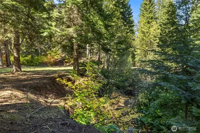 451 Wagon Wheel Road, Cle Elum, WA 98922 - Photo 35