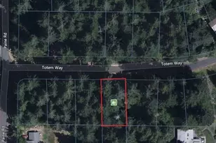 10329 Totem Way, Anderson Island, WA 98303 - Photo 1