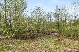 6557 Malloy Rd, Ferndale, WA 98248 - Photo 33