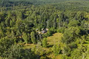 19220 State Route 706 E, Elbe, WA 98330 - Photo 5