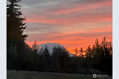 33114 40th Avenue S, Roy, WA 98580 - Photo 29