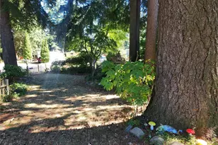 7085 Tall Cedars Ln, Ferndale, WA 98248 - Photo 29