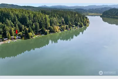 39304 Ski Park Road E, Eatonville, WA 98328 - Photo 23