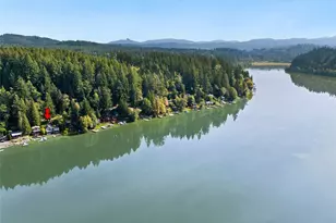39304 Ski Park Rd E, Eatonville, WA 98328 - Photo 23