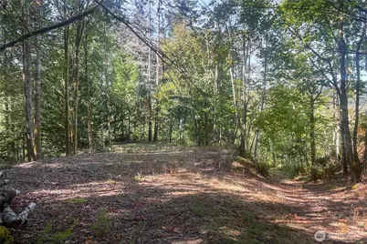 0 NE Wj Way, Belfair, WA 98528 - Photo 13