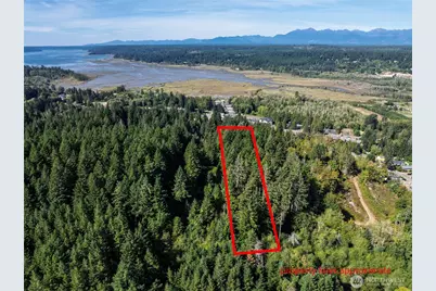 0 NE Wj Way, Belfair, WA 98528 - Photo 3