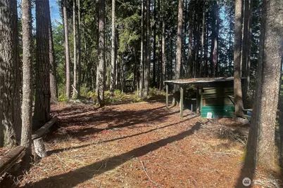 0 NE Wj Way, Belfair, WA 98528 - Photo 11
