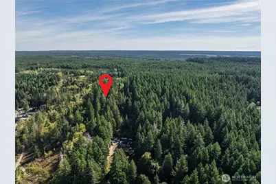 0 NE Wj Way, Belfair, WA 98528 - Photo 15