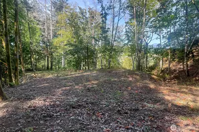 0 NE Wj Way, Belfair, WA 98528 - Photo 21