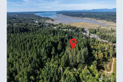 0 NE Wj Way, Belfair, WA 98528 - Photo 5